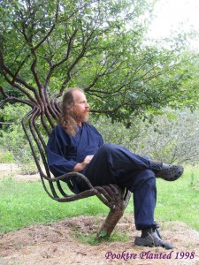 Живое дерево-кресло
