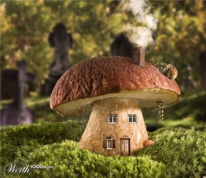 Дом белый гриб