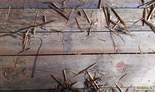 Щели в деревянном полу